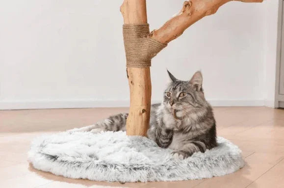 Michu Fluffy Blossom Real Wooden Cat Tree - Premium Quality & Stylish Cat Furniture - Extra Large with cat.