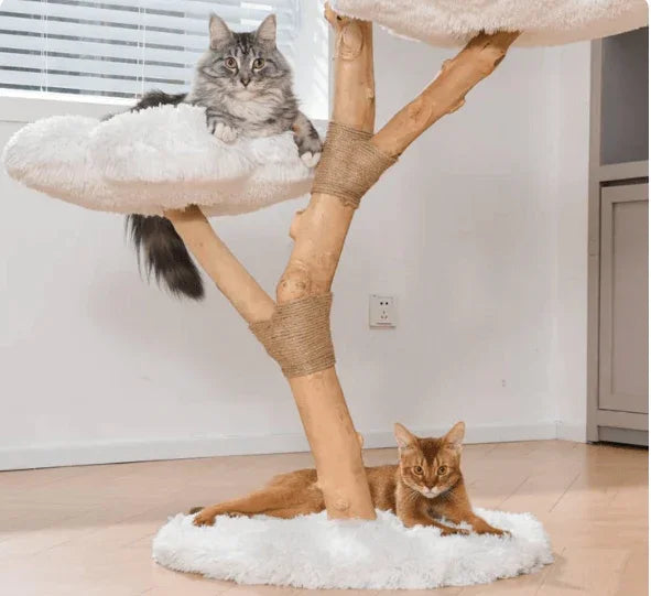 Michu Fluffy Blossom Real Wooden Cat Tree - Premium Quality & Stylish Cat Furniture - Extra Large with cats relaxing.