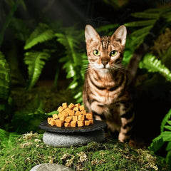 Michu Freeze-Dried Raw Pet Food Dog & Cat Treat 150g - Made in Australia with a cat in a lush green setting.
