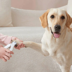 Michu LED light nail clipper for pets Hygiene 2.0 Version used on a happy dog in a cozy home setting.