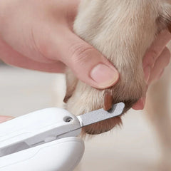 Michu LED light nail clipper for pets Hygiene 2.0 Version trimming a dog's nail at home.