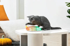 Cat playing with Michu Interactive Feathered Rechargeable Automatic Cat Toy Box on a table.