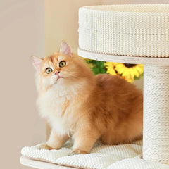 Cat relaxing on the Michu Luna Multi-Layer Solid Wood Cat Nest Tree with a stylish, home-friendly design.