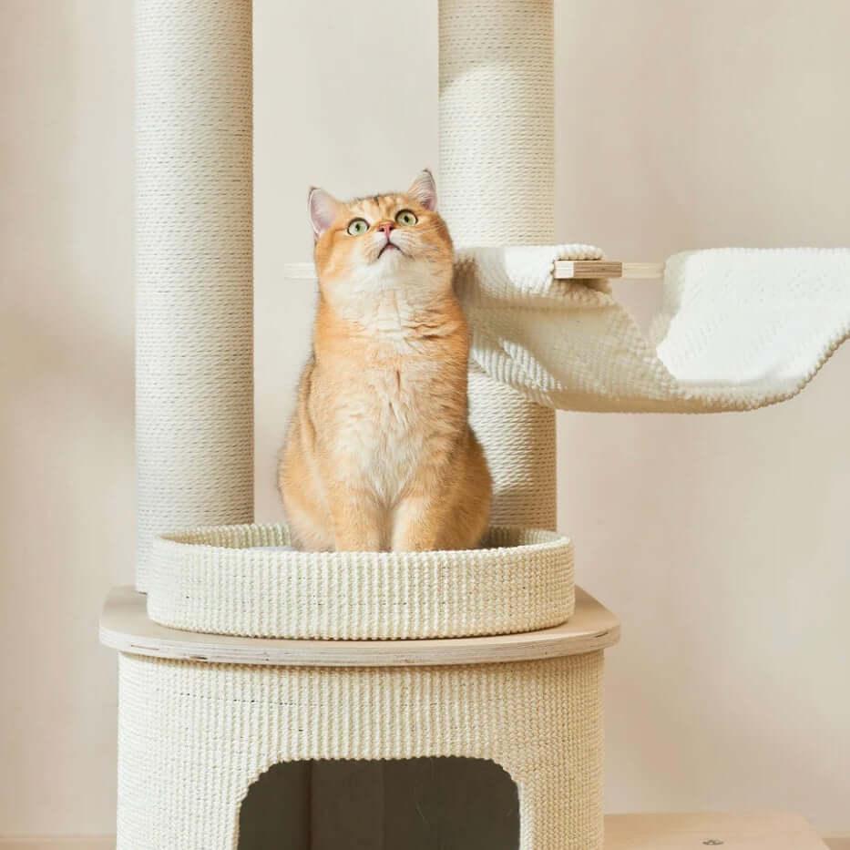 Michu Luna Multi-Layer Solid Wood Cat Nest Tree featuring a cat perched on a cozy platform.