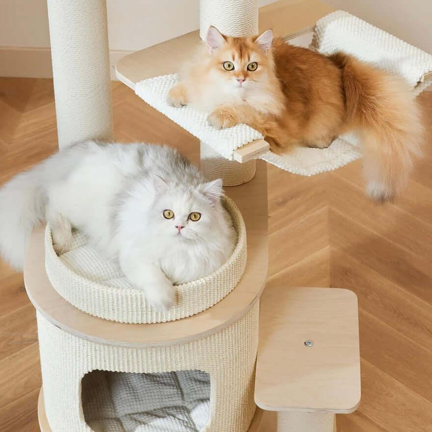 Two cats lounging on the Michu Luna Multi-Layer Solid Wood Cat Nest Tree, enjoying their cozy space.