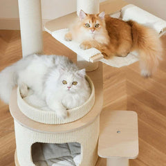 Two cats lounging on the Michu Luna Multi-Layer Solid Wood Cat Nest Tree, enjoying their cozy space.