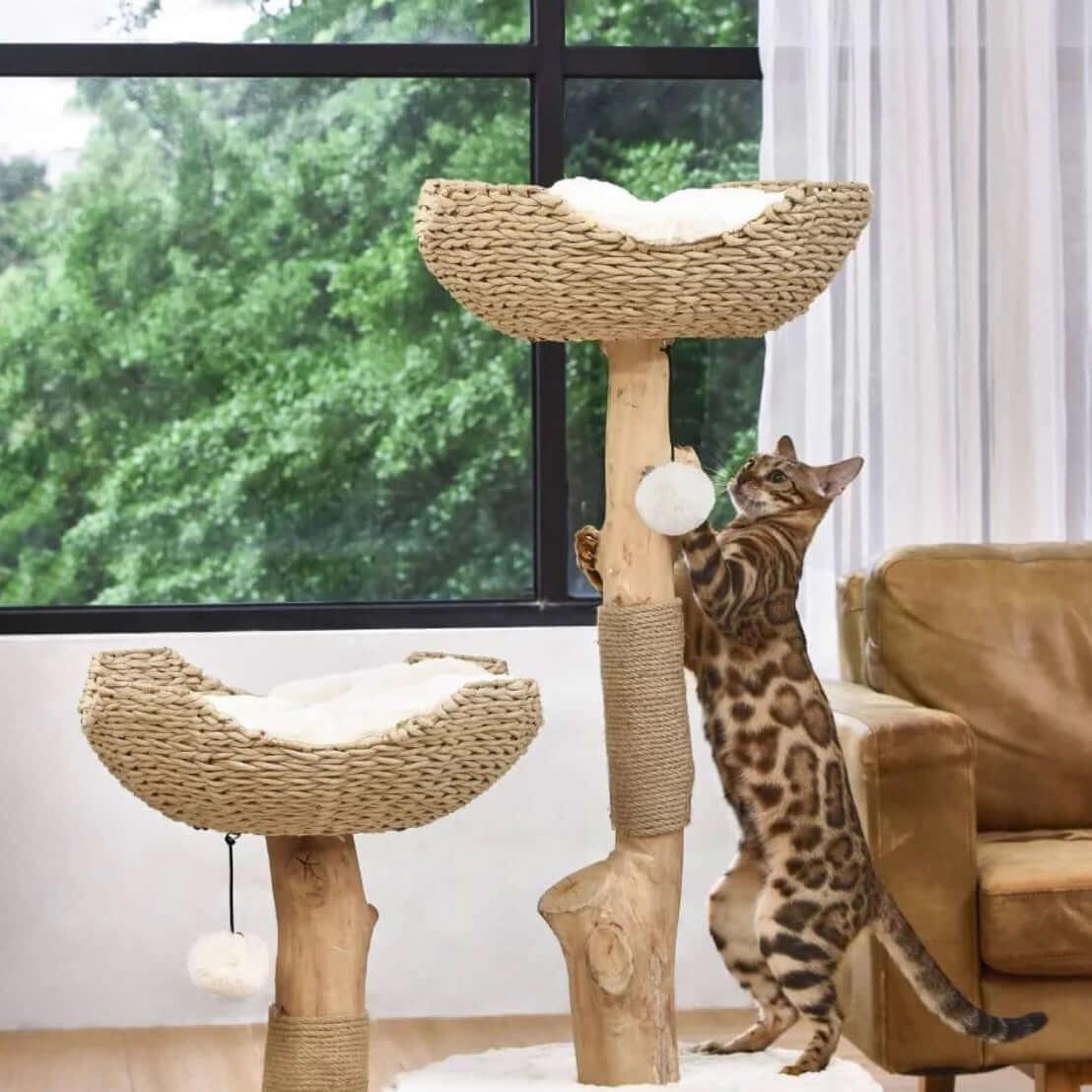 Michu Premium Real Wooden Cat Tree-Large featuring a stylish design and cozy perches for cats climbing and playing.