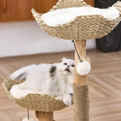 Michu Premium Real Wooden Cat Tree-Large with a cat lounging on a cozy perch, showcasing style and comfort for feline friends.