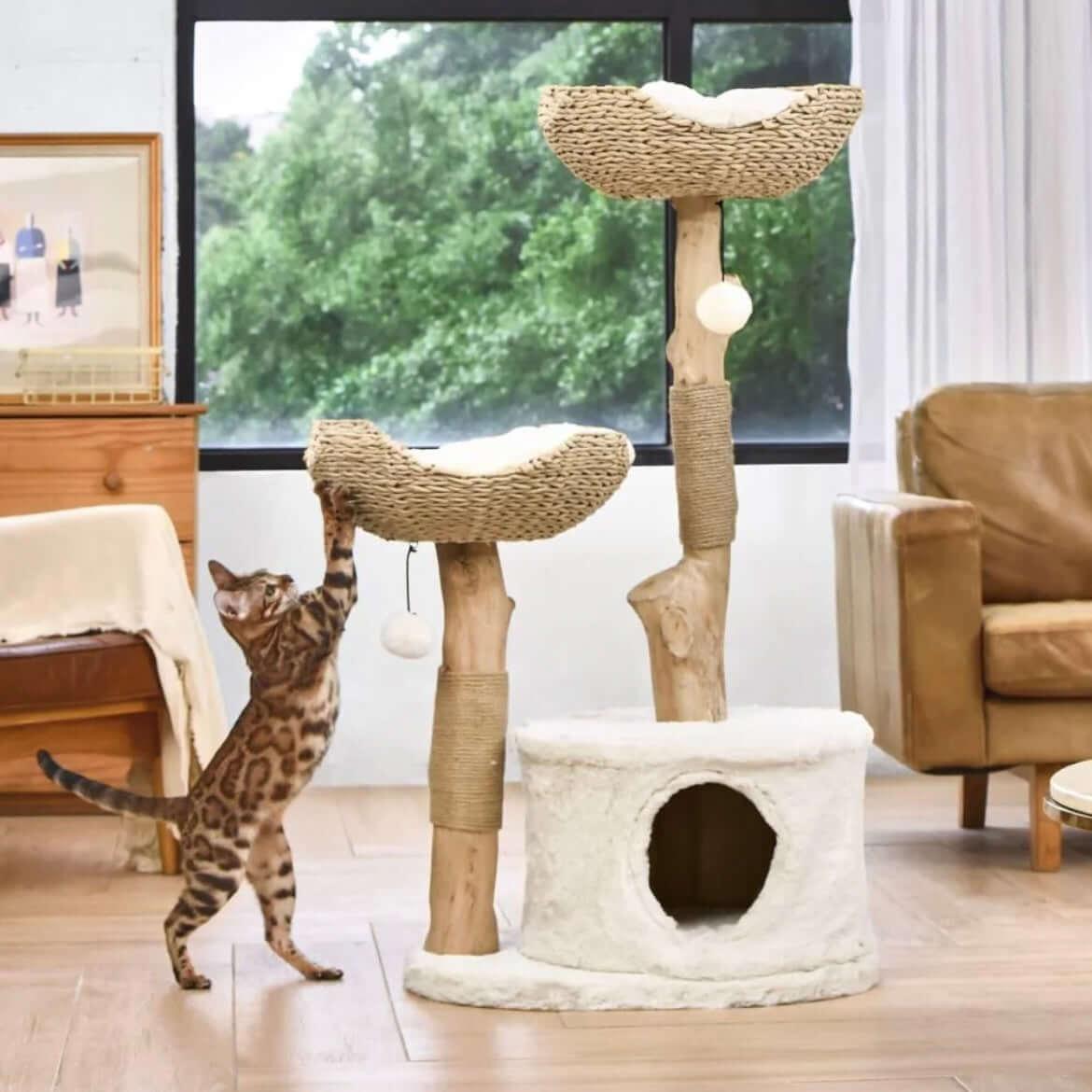 Michu Premium Real Wooden Cat Tree-Large showcasing a stylish cat tower with cozy perches and a playful cat.