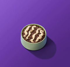 Michu Rainbow Mousse Wet Cat Food 5 Flavours- Complete Food/Wet Mixer and Topper 10pcs/Pack in green bowl on purple background.