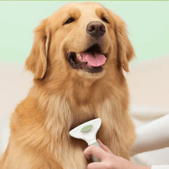 Michu Round-Head Grooming Dog/Cat Brush & Shedding Rake Bundle used on a golden retriever for effective grooming.