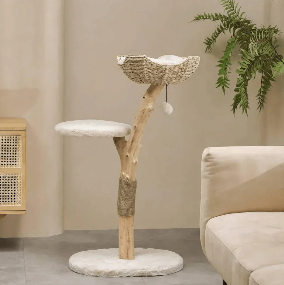 Natural wood cat tree with woven basket bed, plush platforms, and sisal scratching post for cats