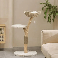 Natural wood cat tree with woven basket bed, plush platforms, and sisal scratching post for cats
