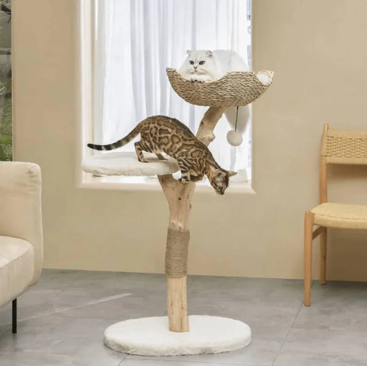 Michu Real Wood Cat Tree - Ultimate Feline Playground for Aussie Cats with cats playing and lounging.