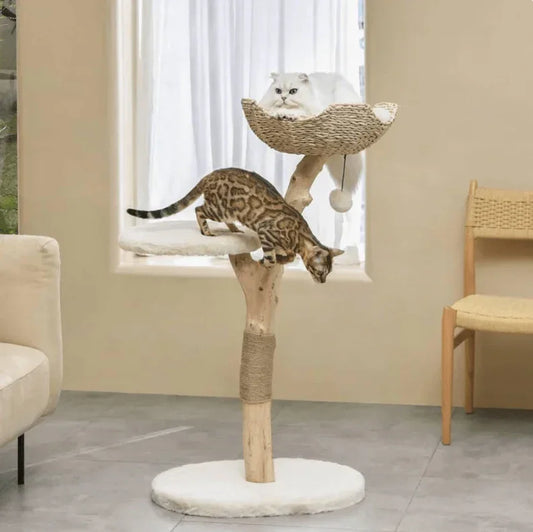 Modern cat tree with woven basket perch and sisal scratching post for cats to climb and rest