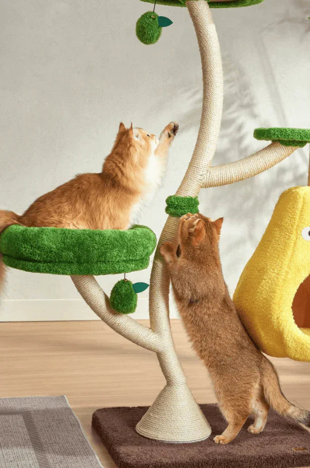 Michu Verde Solid Wooded Base Cat Tree with two cats playing on it in a stylish living space.