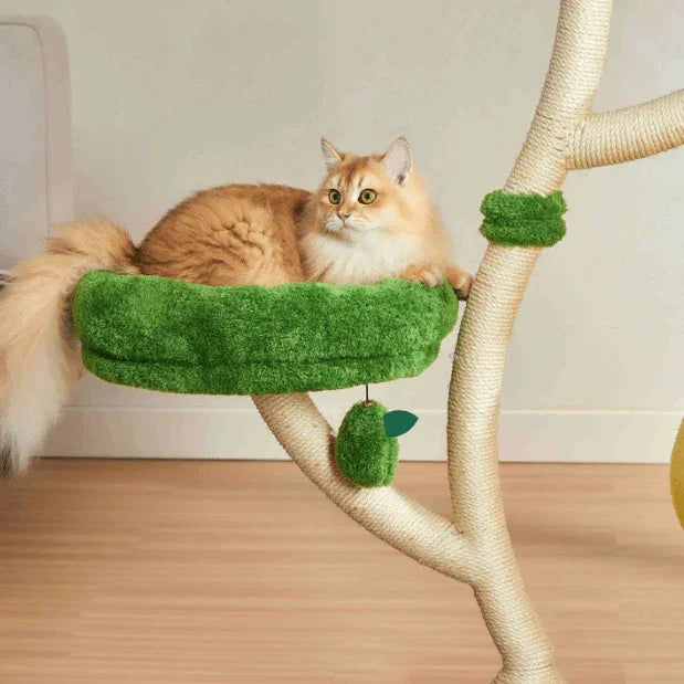 Michu Verde Solid Wooded Base Cat Tree featuring a cozy green perch and a playful cat.