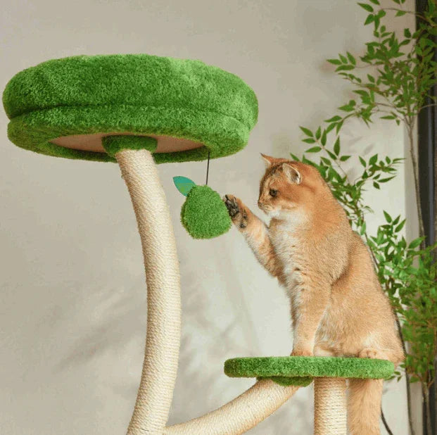 Michu Verde Solid Wooded Base Cat Tree with a cat playing with a green toy in a stylish indoor setting