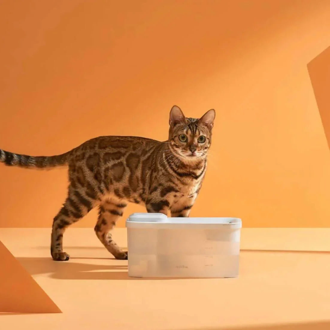 Michu Wireless Cat Water Fountain - Battery Operated Dispenser for Healthy Hydration with a cat.