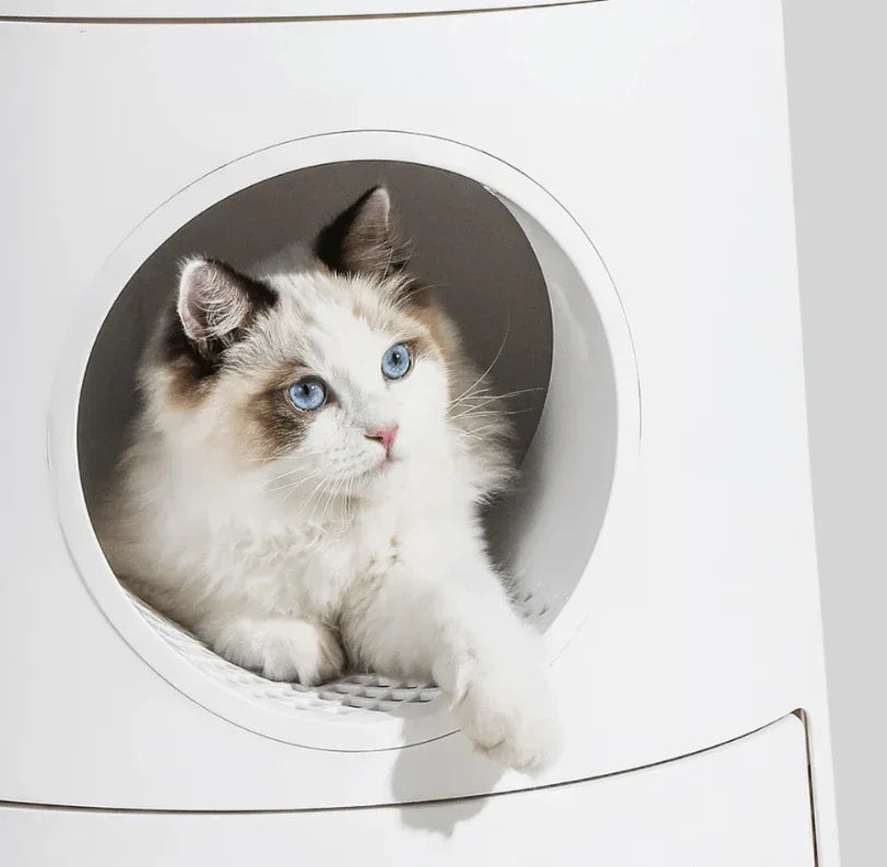 Michu XL Semi Closed Cat Litter Box with Scratch Pad, fluffy cat lounging in a semi-closed litter box.