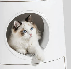 Michu XL Semi Closed Cat Litter Box with Scratch Pad, fluffy cat lounging in a semi-closed litter box.
