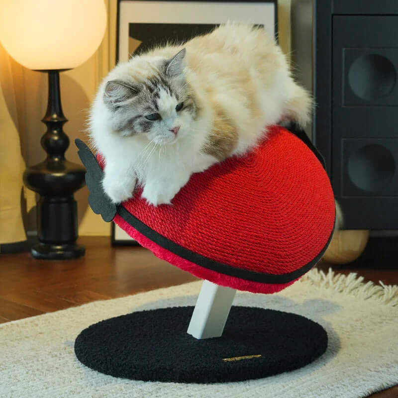 Vertical Heart-Shaped Cat Scratchers with Wings – Durable Natural Sisal Stretching Post with a fluffy cat on top.
