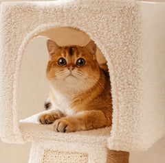 Ona’s Cottage Premium Multi-Level Cat Tower with Cat Scratching Posts featuring a comfortable cat lounging inside.