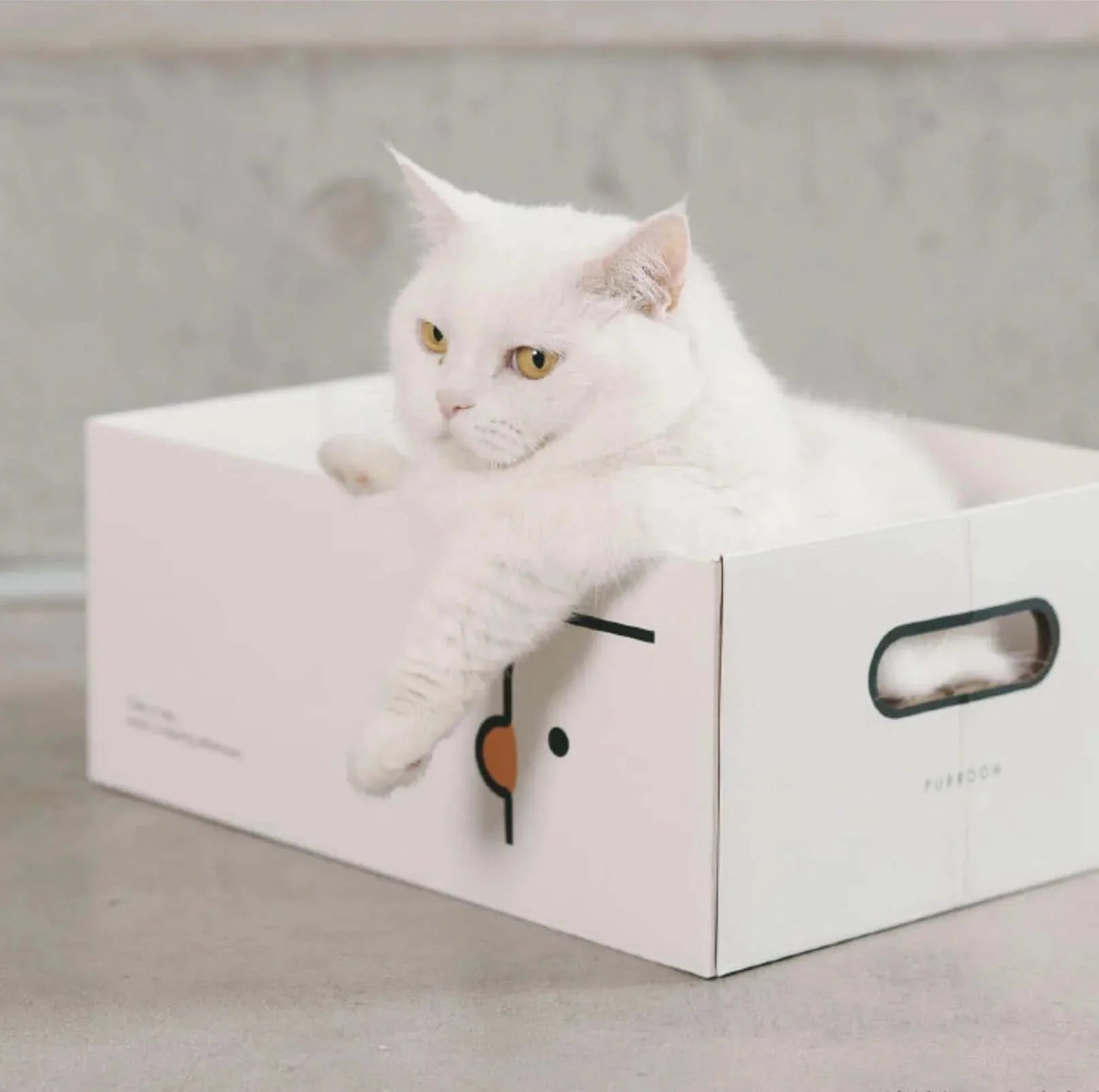 PURROOM Little Chick Series 2 In 1 Cat Scratcher Box-Petroom