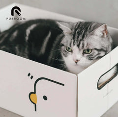 PURROOM Little Chick Series 2 In 1 Cat Scratcher Box-Petroom