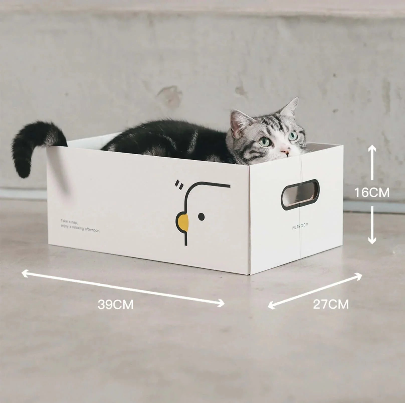 PURROOM Little Chick Series 2 In 1 Cat Scratcher Box-Petroom