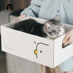 PURROOM Little Chick Series 2 In 1 Cat Scratcher Box-Petroom