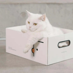 PURROOM Little Chick Series 2 In 1 Cat Scratcher Box-Petroom