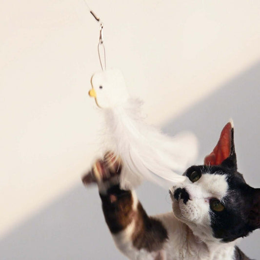 PURROOM Little Chicken Series: Extendable Feather Cat Stick Cat Toy-Petroom