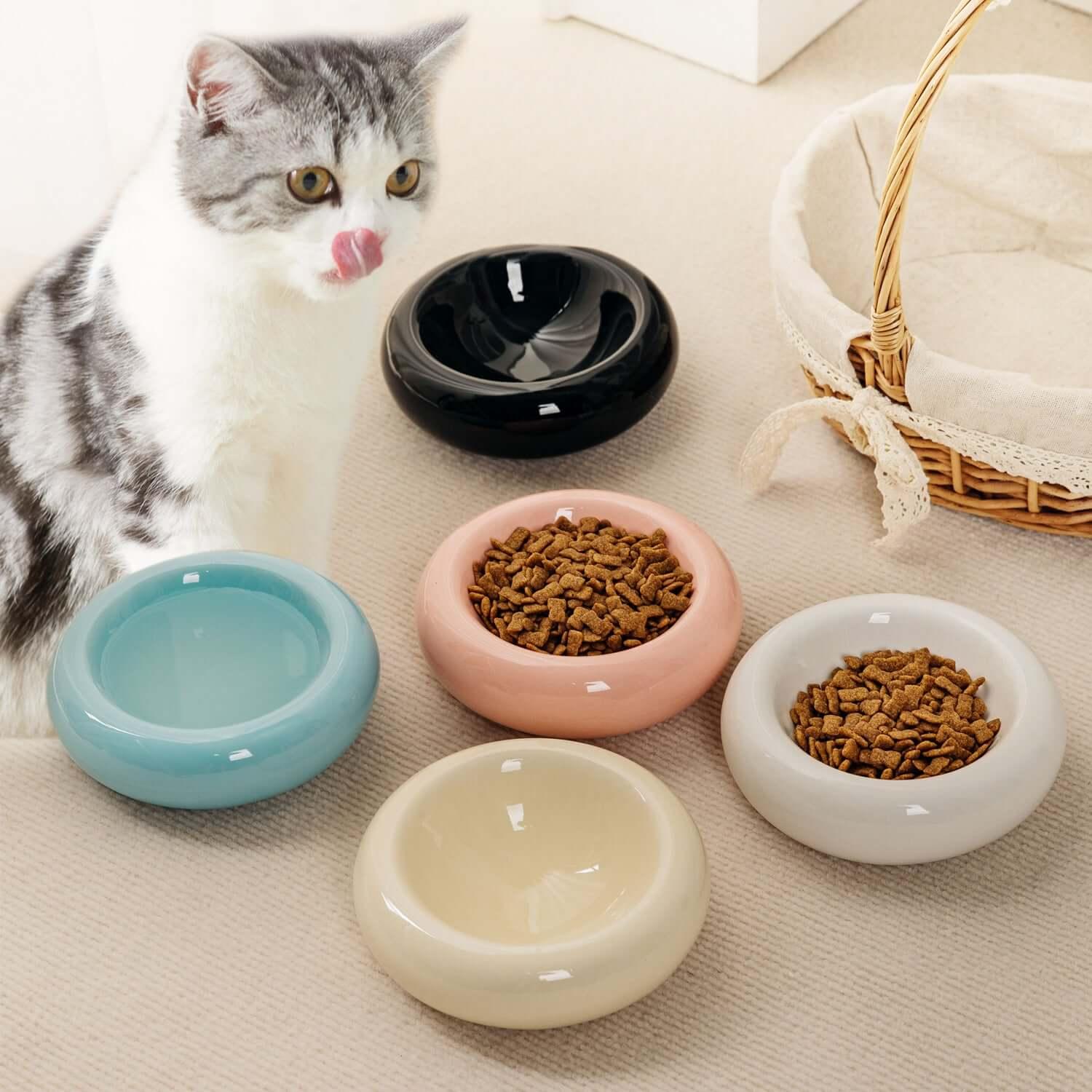 Cute grey and white cat with colorful ceramic pet bowls for food and water, ideal for cats and dogs.