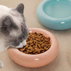 Grey and white cat eating dry kibble from pink ceramic bowl beside blue water bowl on carpet