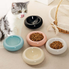 Cute grey and white cat with colorful ceramic pet bowls for food and water, ideal for cats and dogs.