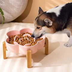 Corgi eating from pink flower-shaped slow feeder bowl on wooden stand, ideal for dogs