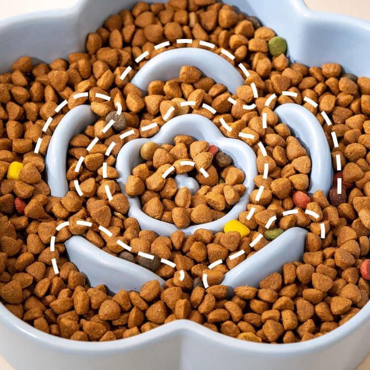 Slow feeder dog bowl with kibble, designed to prevent fast eating for healthy pet meals