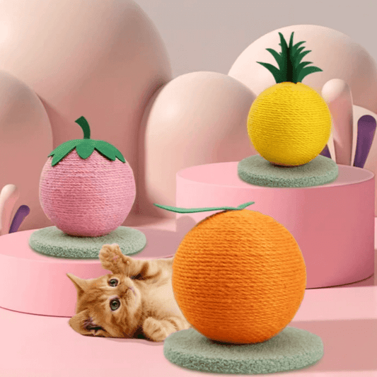 Petroom Fruit Shape Cat Scratching Ball-Petroom