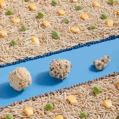 Dog treats with corn, peas, and rice shapes on blue background, healthy pet snacks for dogs