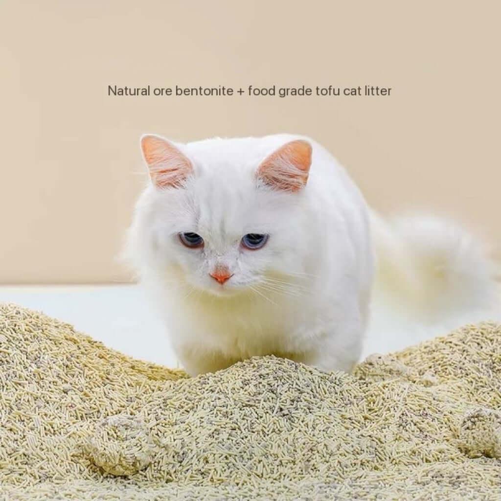 White cat in natural bentonite and tofu cat litter, ideal for pet owners seeking eco-friendly supplies