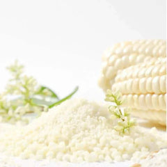 White corn kernels and fresh corn on the cob with green sprigs, natural pet food ingredient