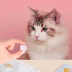 Fluffy cat eyeing a purple treat held by hand, with snack packets nearby on pink background