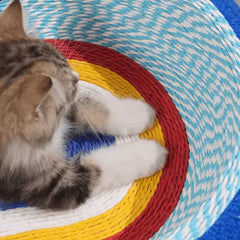 Cute tabby kitten resting on colorful woven cat bed, perfect for cozy pet supplies.