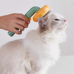 Person using a grooming brush on a white cat against a white background