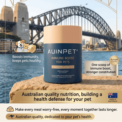 AUINPET Immune Boost Powder for Dogs & Cats 60g with the Sydney Harbour Bridge in the background.