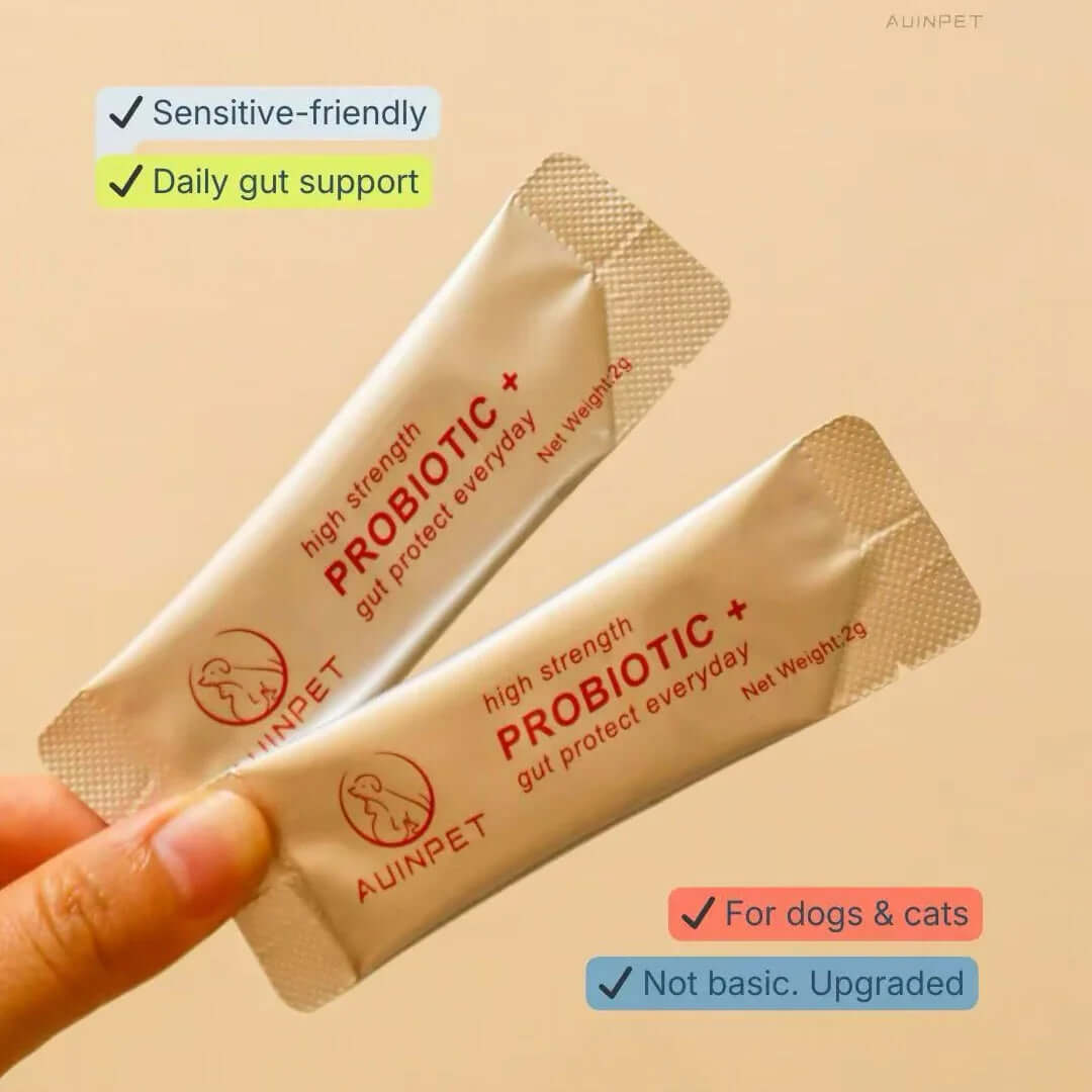AUINPET Probiotic Powder for Dogs & Cats 60g in sachets offering daily gut support and sensitive-friendly formula.