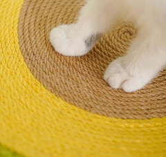 2-in-1 Cat Scratchers Bed Avocado Style