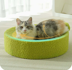 2-in-1 Cat Scratchers Bed Avocado Style