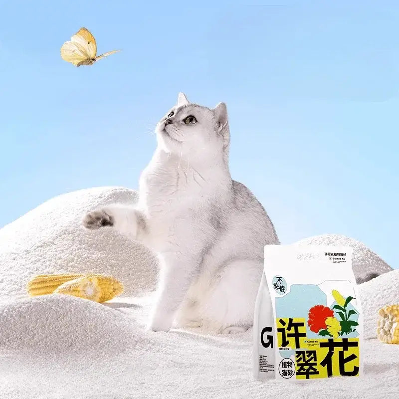 White cat playing with butterfly beside plant-based cat litter bag and corn cobs on white sand